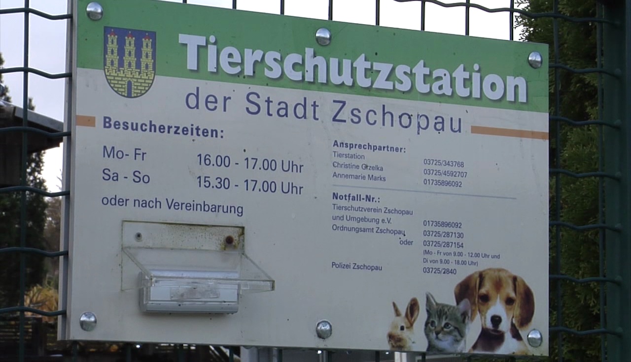 Ein Besuch in der Tierschutzstation Zschopau